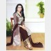 Elizita’s Ethnic high quality Shalwar Kameez Suit in soft Georgette